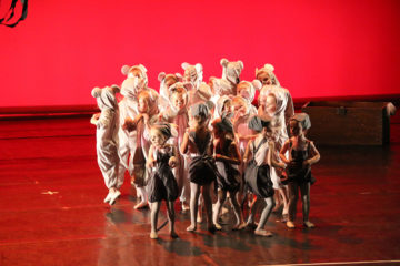 STUDIO DANSE FLEXION - Ecole de Danse à Reims - Sandrine ROBERRINI